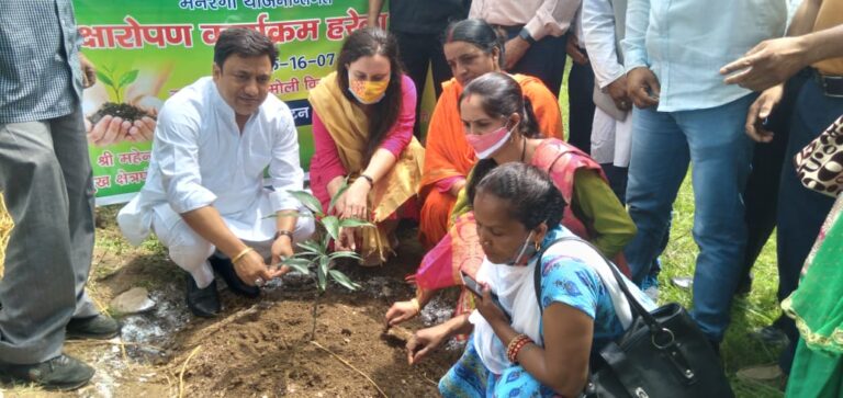 द्वारीखाल प्रमुख महेंद्र राणा के नेतृत्व में लगेंगे 10 हजार फलदार पौधे। रोजगार के अवसर होंगे सृजित