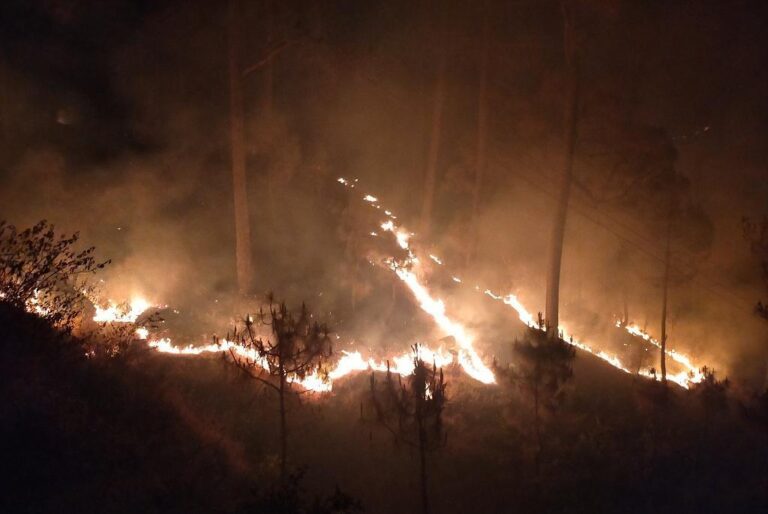 ज्वलंत सवाल: विकराल होती वनाग्नि (forest fire), बेबस वन कर्मी व बजट का ‘रोना’ रोते DFO