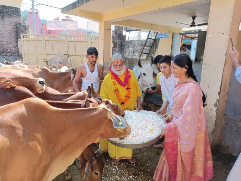 गोवर्धन पूजा महोत्सव से मिलती है प्रकृति के संरक्षण की प्रेरणा : Anita Mamgai