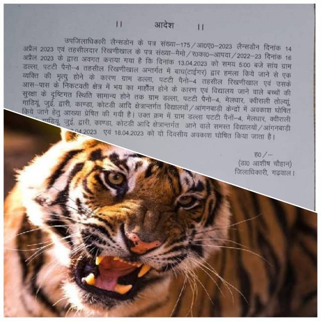 दु:खदः पौड़ी गढ़वाल में बाघ ने ली रिटायर्ड शिक्षक की जान (Tiger killed retired teacher) डीएम ने किया ये आदेश जारी