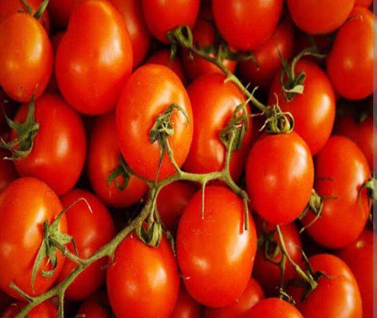 Tomato prices : टमाटर के दाम पहुंचे आसमान पर, पावभर खरीदने को मजबूर हुए आम लोग, जानिए किस वजह से महंगे हुए और कब मिलेगी राहत