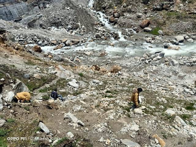 कार्रवाई: मंदाकिनी नदी (Mandakini River) के तटों में गंदगी फैलाने पर 64 व्यक्तियों का चालान कर 36700 सौ रुपए का जुर्माना वसूला