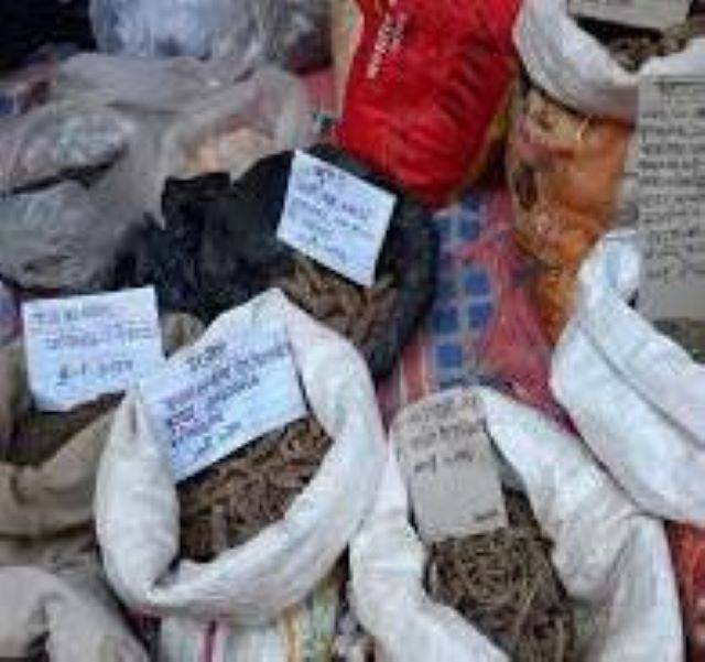 उत्तरायणी मेले (Uttarayani Fair) में मिलती है उत्तराखंड की संस्कृति की झलक