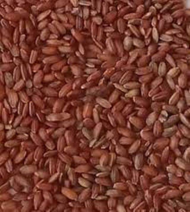 हरित क्रांति के बाद पहाड़ का लाल चावल (red rice) विलुप्ति की कगार पर