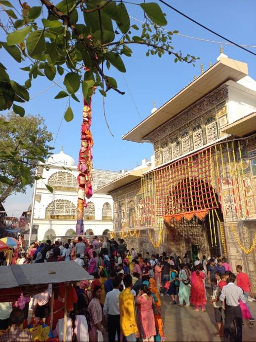 Shri Jhande Ji Mahotsav: श्री झण्डे जी महोत्सव में अब लगा दूनवासियों का तांता