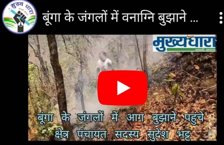 Forest fire:  वनाग्नि से धधक उठा बूंगा का जंगल, क्षेत्र पंचायत सदस्य सुदेश भट्ट ग्रामीणों के साथ पहुंचे आग बुझाने