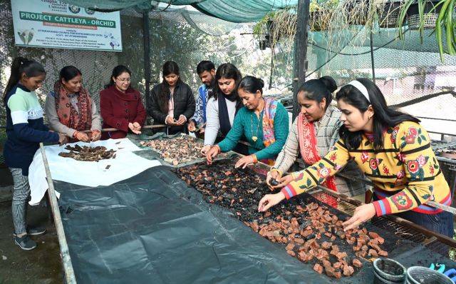 आर्किड फार्मिंग बनाएगी महिलाओं को आत्मनिर्भर