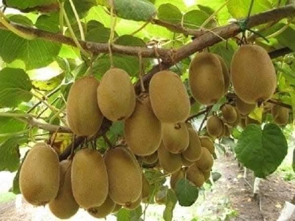 FB IMG 1769162054394