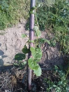 FB IMG 1769162057042