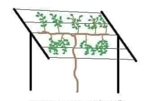 FB IMG 1769162060123