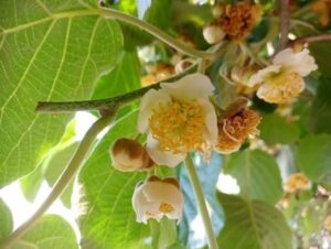 FB IMG 1769162065022