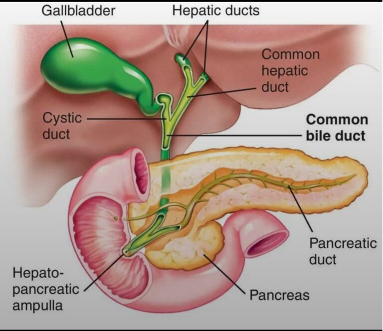 उपलब्धि : विश्व कैंसर दिवस पर श्री महंत इन्दिरेश अस्पताल ने चिकित्सा जगत में रचा इतिहास