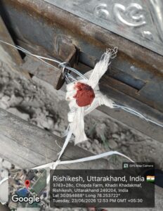 अवैध निर्माणों पर एमडीडीए का शिकंजा, ऋषिकेश में तीन निर्माणाधीन भवन सील 2 IMG 20260623 WA0022