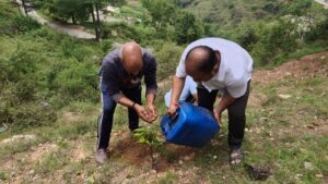 जौनपुर रेंज भाल बीट में मनाया वन महोत्सव 3 IMG 20260708 WA0014